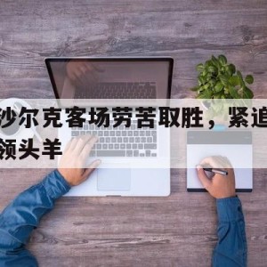 注册领彩金-关于沙尔克客场劳苦取胜，紧追领头羊的信息
